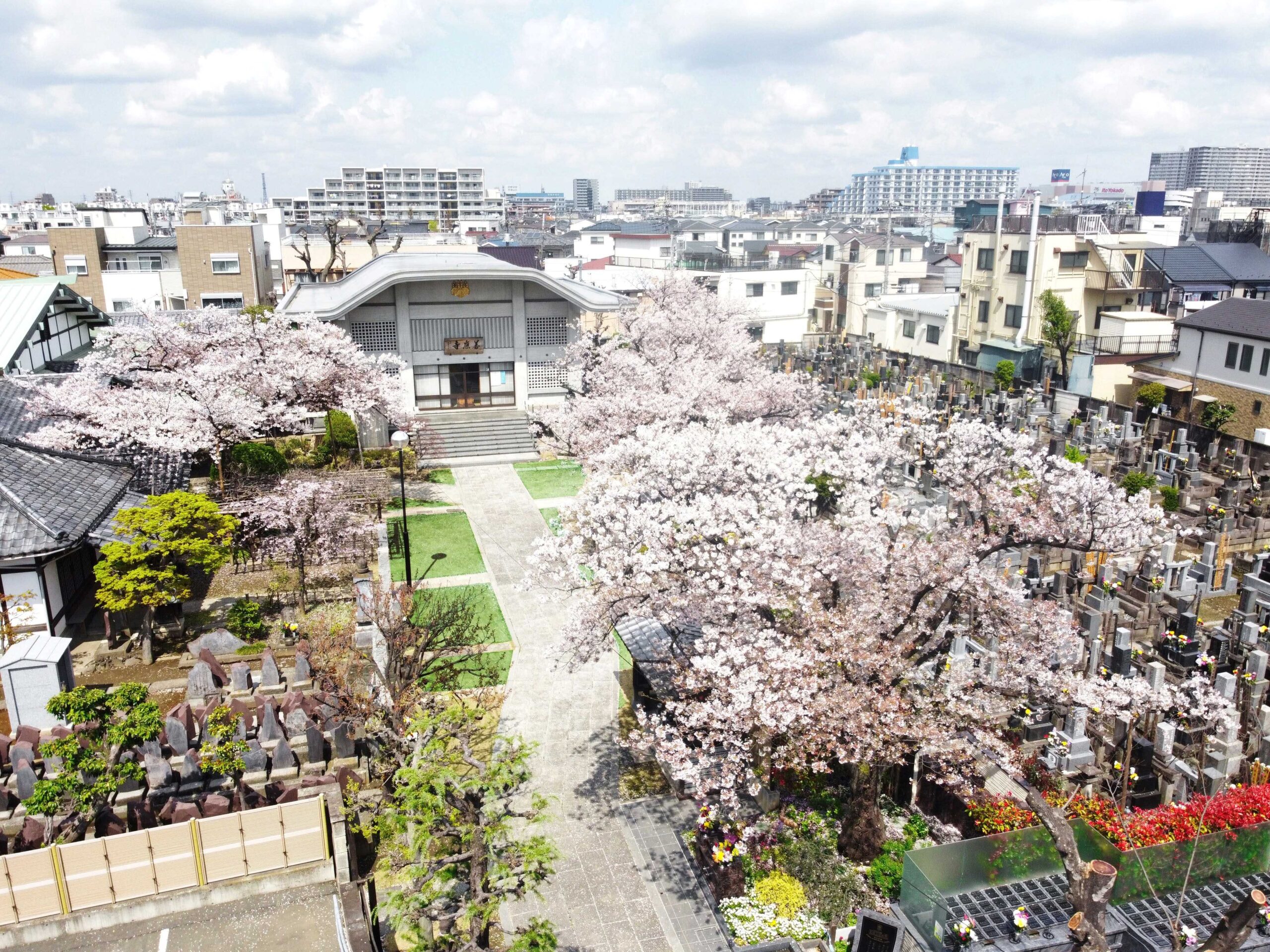 東京都足立区 【善應寺】永代供養墓・樹木葬「足立祖房」