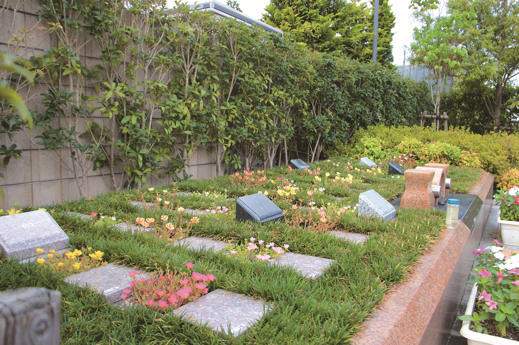 朝霞市 永代供養墓・樹木葬「聖」
